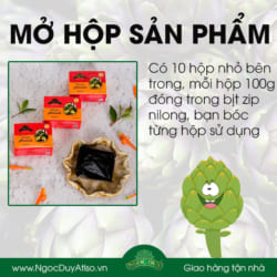 Cao Ngọt Atiso Ngọc Duy hộp 1kg